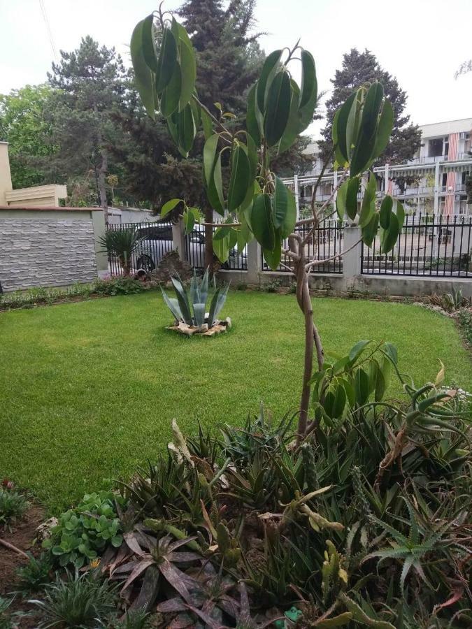Guest House Alkor Obzor Dış mekan fotoğraf